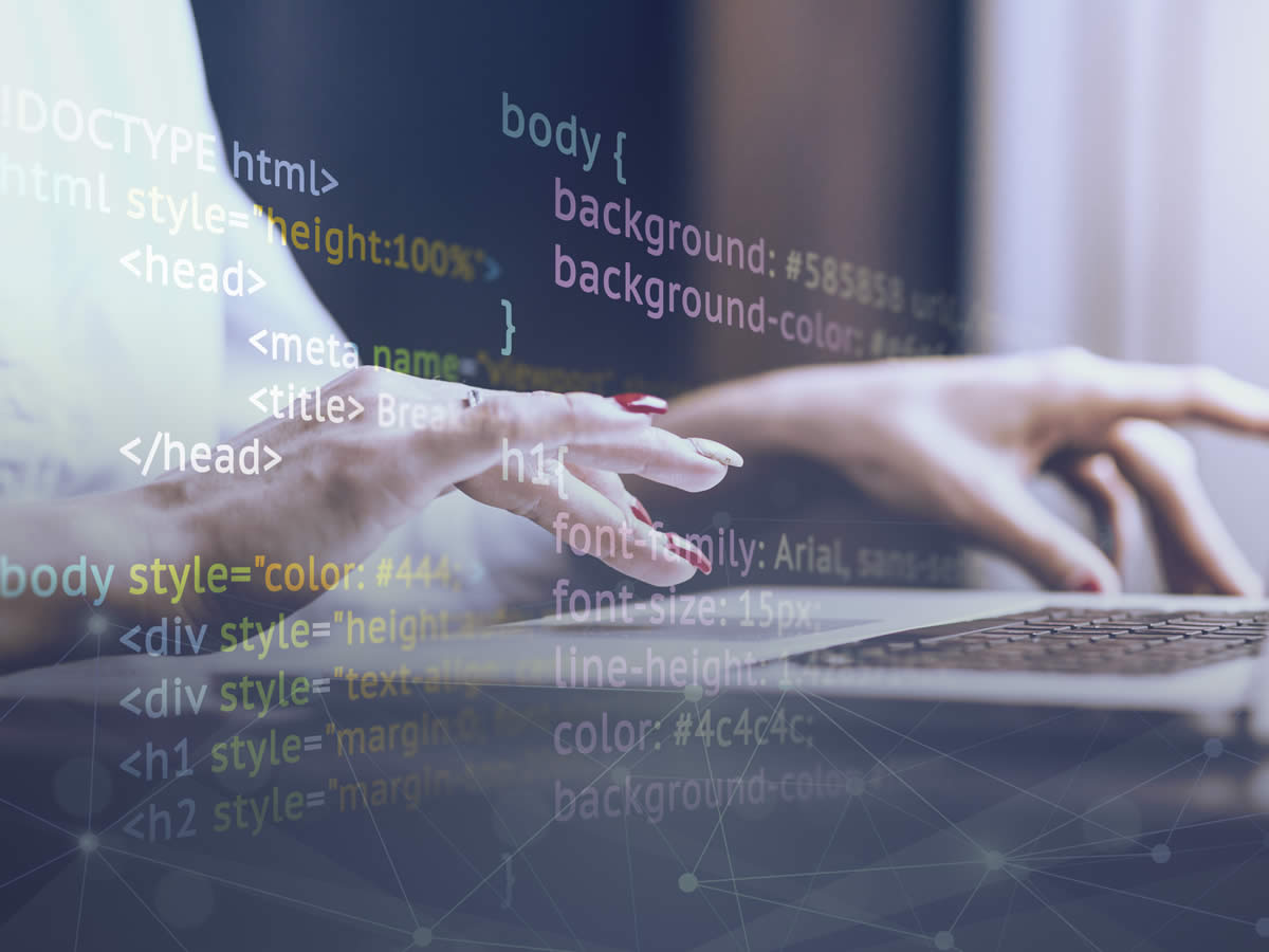 Web Tasarım ve Kodlama Staj