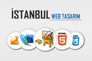 Maltepe Web Tasarım