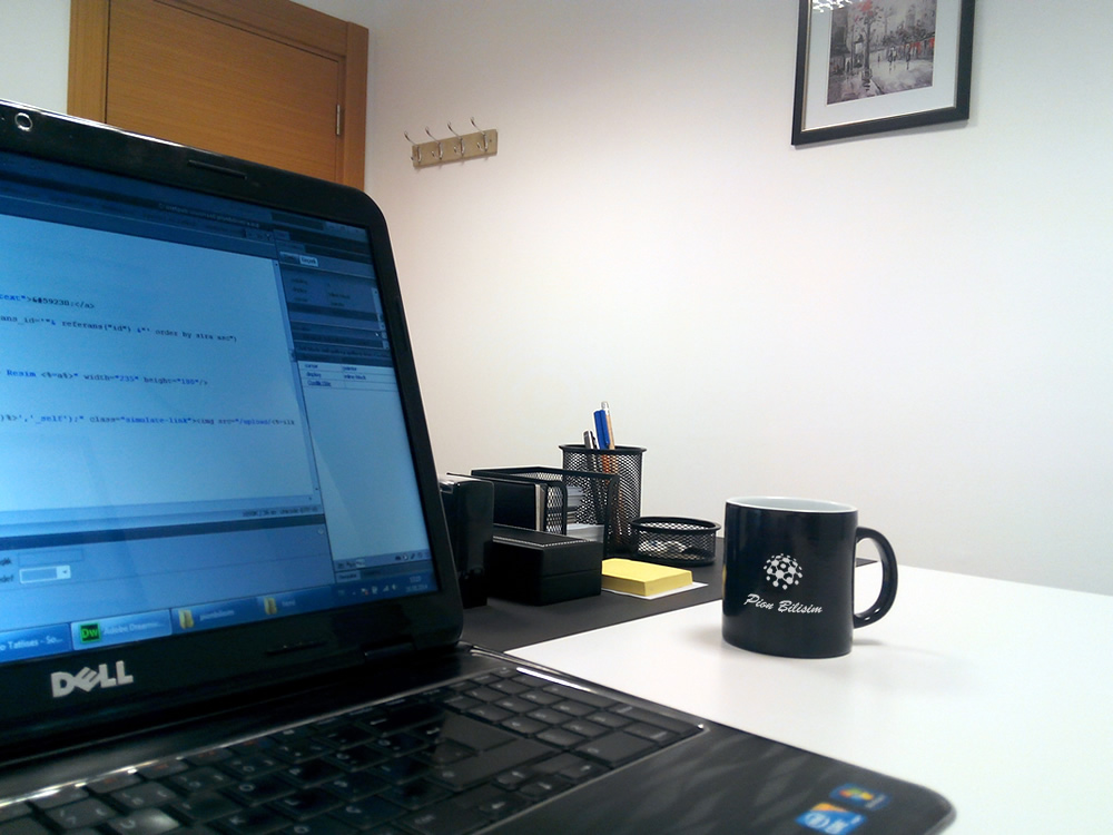 Pion Bilişim Hakkımızda 4